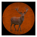 Search for vintage elk posters Nature
