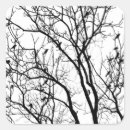 Search for bird silhouette stickers Nature