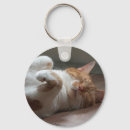 Search for orange cat key rings Sweet