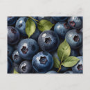 Search for scattered postcards Pattern