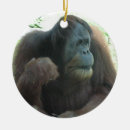 Search for orangutan christmas tree decorations Animal