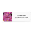 Search for pink daisy return address labels Flower