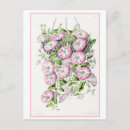 Search for convolvulus Vintage