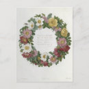 Search for rhs Redouteflower