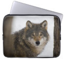 Search for wolf laptop cases Wild
