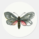 Search for lithograph stickers Illustration