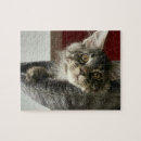 Search for maine puzzles Animal