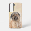 Search for curator electronics Dog