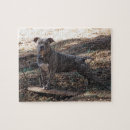 Search for skateboarding puzzles Dog