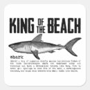 Search for vintage beach stickers Ocean