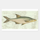 Search for fish stickers River