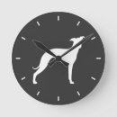Search for greyhound clocks Iggy