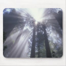 Search for nas mousepads Sunshine
