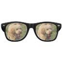 Search for photo sunglasses Dog
