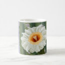 Search for cactus flower mugs Bloom