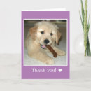 Search for golden puppy cards Adorable