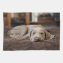 Search for weimaraner tea towels Animal
