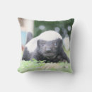 Search for badger cushions Cute