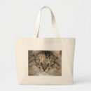 Search for tabby cat bags Kittens