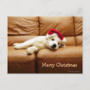 Search for sofa christmas cards Colour image