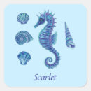 Search for seahorses stickers Seashells