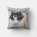 Search for shih tzu cushions Pet