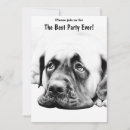 Search for mastiffs invitations Dogs