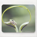 Search for sitting mousepads Focus