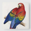 Search for parrot clocks Tropical bird