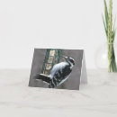 Search for bird watcher cards Wildlife