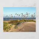 Search for dunes postcards Gulf