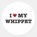 Search for whippet stickers Puppy