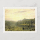 Search for forrests postcards Landscape