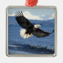 Search for alaska christmas tree decorations Peak