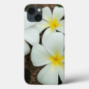 Search for pacific cases Island