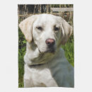 Search for labrador tea towels Pets