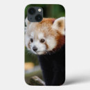 Search for panda bear iphone cases Nature