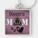 Search for havanese accessories Dogs