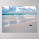 Search for pink sand beach posters Tropical