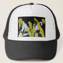 Search for alien baseball hats Abstract