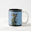Search for red tailed hawk mugs Hawks