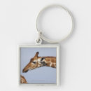 Search for giraffe face accessories Wildlife