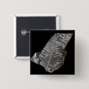 Search for fern leaf badges Leaves