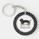Search for spoiled key rings Dog