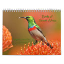 Search for south africa calendars Birds