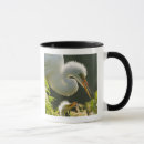 Search for saint augustine mugs Florida