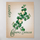 Search for aromatherapy posters Botanical