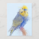 Search for 10 postcards Bird