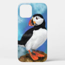 Search for puffin cases bird