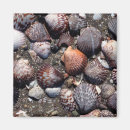 Search for wave pattern magnets Ocean